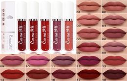 CMAADU 18 Couleur de gloss à lèvres Matte Liquide Lipstick étanche naturel Natural Last Velvetines MAVILUP LIPGLOSS5019048