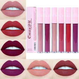 Cmaadu 6 kleur natuurlijke hydraterende vloeibare lippenstift matte roze buis non-stick cup langdurige lip glans