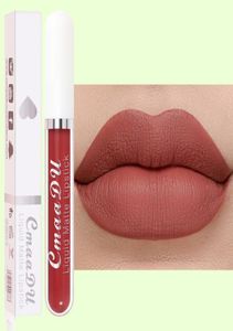CMAADU Velvet Matte Lipgloss 18 kleuren naakt vloeibare lippenstift Langdurige waterdichte rode lipgloss make -up cosmetica 6pcs7008011