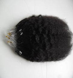 Extensions de cheveux Yaki Micro Loop grossiers crépus droits Remy cheveux humains 1gstrand 100g Extensions de cheveux humains Micro anneau 1024 pouces8712391