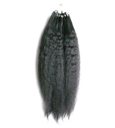 Extensions de cheveux humains Yaki micro boucle grossière 100g crépus droites micro boucle anneau cheveux mettre en évidence la couleur Remy micro bead extensions8645098