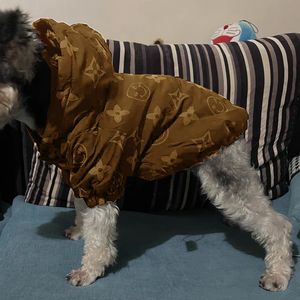 manteau chien vêtements pour chiens vêtements pour chiens de créateurs petit chat automne et hiver petit chien