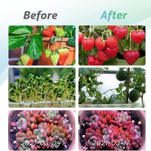 Cob Cree Lead Grow Lights for Indoor Plants Full Spectrum with Extendable Tripod Stand 200W Auto Timing Function Four Head Floor Plant Growth Succulent and Seed