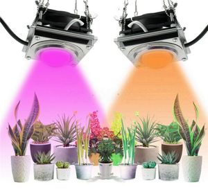 COB Grow Light Indoor 2000 W Phyto Lamp LED-installaties Volledige spectrum Growlights Tent Box Lampen voor Thuis Plant Bloemen