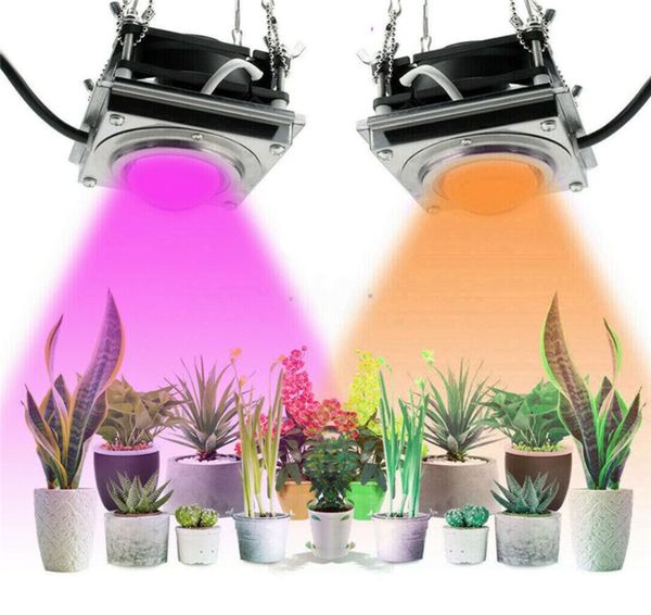 COB élèvent la lumière intérieure 2000W Phyto lampe LED plantes spectre complet croissance lumières tente boîte lampes pour la maison plantes fleurs