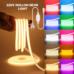 Cob NEON LED Strip Light 220V EU PLIG 5M10M20M30M CUISINE GARDE EXTÉRIEUR RIDE LED BLAND ROUGE BLEU BLEU VERT PORTE PURPLE DÉCOR 240411