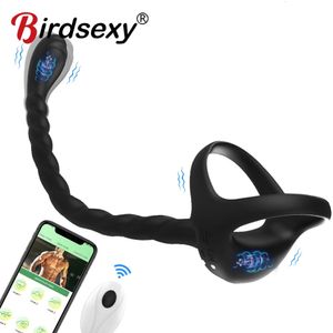 Pikring prostaat vibrator seks speelgoed voor mannen app draadloos 10 modus testikelmassage anale buttplug penis ring mannelijke masturbator 18 240401