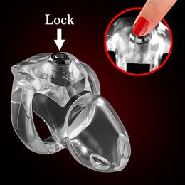 Cockrings HTV5 Clear Design Ring Résine Male Chastity DeviceBelt Cage Holy Trainer Click Lock 230202