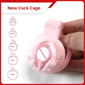 Cockrings Dispositifs de chasteté masculine Sissy BDSM Chatte Cage à coq vaginale Petit verrouillage de bondage Esclave Anneau de pénis Sex Shop 18 Gay Ladyboy Toys 230227