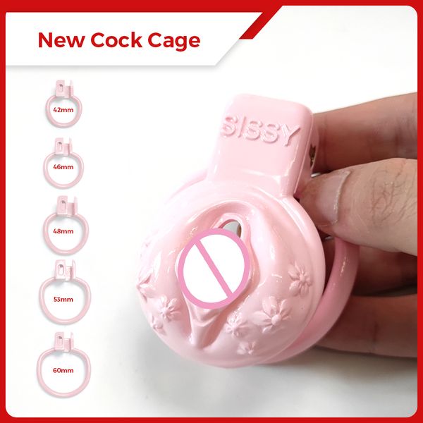 Cockrings Dispositifs de chasteté masculine Sissy BDSM Chatte Cage à coq vaginale Petit verrouillage de bondage Esclave Anneau de pénis Sex Shop 18 Gay Ladyboy Toys 230227