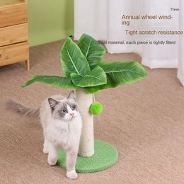 Griffoir pour chat en sisal avec boule à suspendre et corde en sisal pour chat d'intérieur