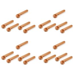 Koffielepels 20 stuks Houten koffieschep en tas Clip Maatlepel 2-in-1 zakkensluiter Maatlepel voor bonen Espresso koffie Thee 231018