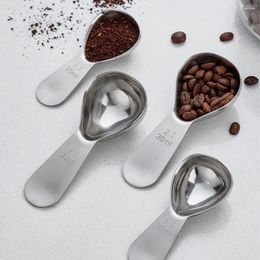 Scoops de café en acier inoxydable à mesurer la cuillère mini-scoop avec cafetes à échelle 15/30 ml