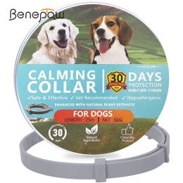 Colliers Benepaw collier apaisant efficace pour chiens anti-anxiété soulager le Stress non toxique résistant à l'eau réglable colliers pour chiots pour animaux de compagnie