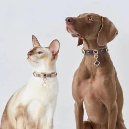 Collares Collar para gatos Perros pequeños Collar para mascotas Correa de cuero PU Ajustable Etiqueta para perros pequeños y medianos Cachorros Accesorios para mascotas Suministros para perros Lujo