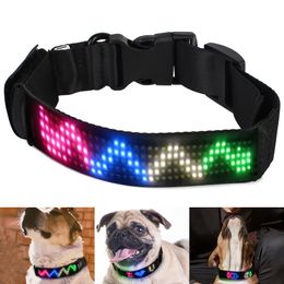 Colliers colliers de compagnie de compagnie fournit le contrôle de l'application Lumineuse éclatante pour le collier de chien de nuit affichage de chiens de compagnie collar Perro
