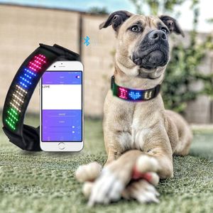 Halsbanden Halsband Led-display App-bediening Harnasbenodigdheden voor huisdieren Veiligheid Knipperend Lichtgevend Gloeiend Voor nachthalsbanden Perro