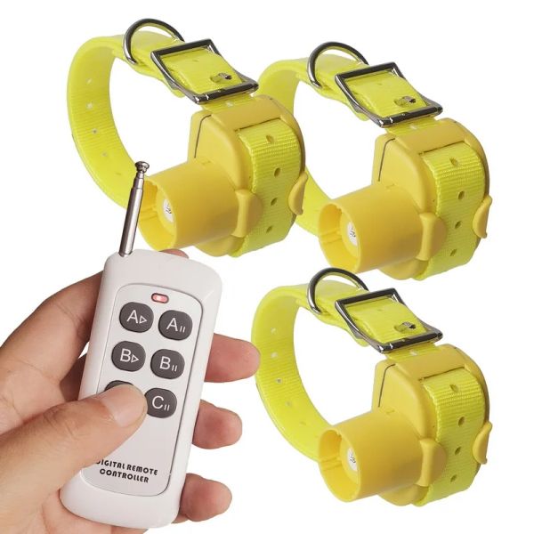 Colliers pour 3 colliers Beeper Remote Control Dog Training Collar dans les colliers de suivi rechargeables D100B