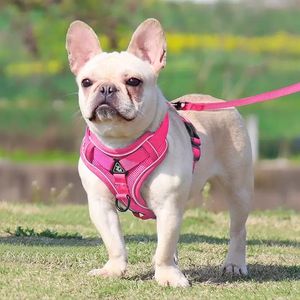 Collares Correas ajustables Dog Ridges Pink Reflective Transpirable Mesh Reflectives Bands Pet Ridges Inventario al por mayor