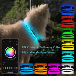 Colliers LED Collier de chien Bluetooth App multiples couleurs RVB Lumières Col de chien USB USB Collier de chien imperméable rechargeable pour le coffre-fort pour la nuit