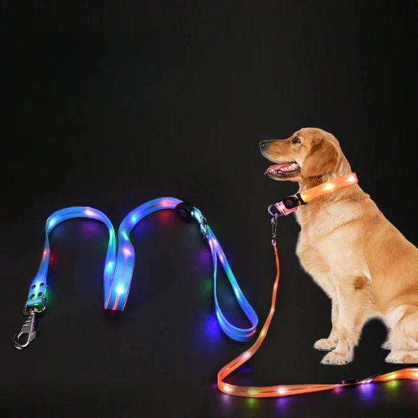 Colliers LED lumineux pour chien, laisse de sécurité pour la marche, brille dans la nuit, rechargeable par USB, réglable pour grands, moyens et petits animaux de compagnie, collier pour chien éclairé