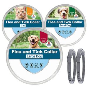 Colliers nouveaux 38/70 cm pour animaux de compagnie anti-puces tiques antiparasitiques cols de chien 8 mois cols rétractables pour chiot chat de chiens