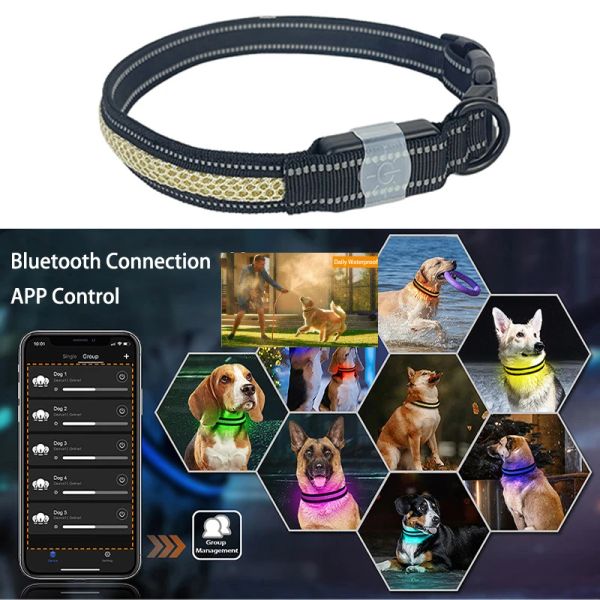 Colliers Nouveau collier de chien lumière Bluetooth App contrôle Usb charge réfléchissant étanche LED colliers de chien lumineux pour les grands chiens sécurité nocturne