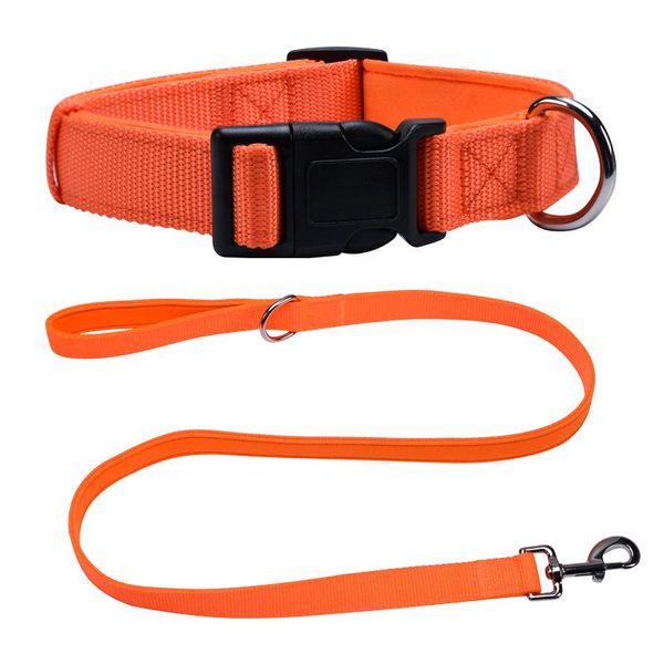 Colliers en Nylon pour chien, ensemble de laisses, Clip robuste, colliers pour animaux de compagnie, laisse pour chien bouledogue français Koski, accessoires pour petits et moyens chiens