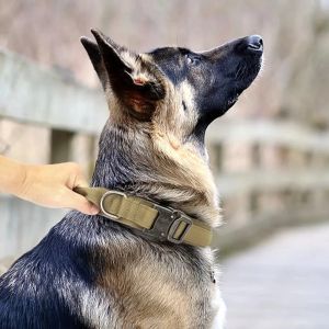 Colliers pour animaux de compagnie, pour dressage de chiens, aide au comportement, accessoires réglables pour Golden Retriever, chien de Police tactique, Shepard allemand