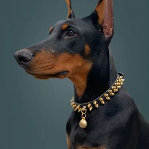 Colliers petit grand collier de chien Rivet cuir collier pour animaux de compagnie Doberman lévrier bouledogue français collier chiens accessoires collier Perro