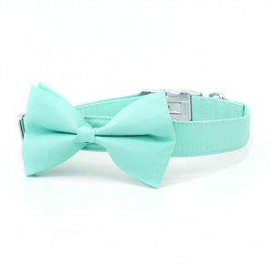 Colliers solide mint Green Dog Collar Personnalise Dog Collar Bow avec laisse assortie