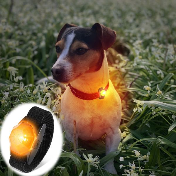 Collares USB para perro, luces LED, recarga, etiqueta de perro impermeable, brillante, alta visibilidad, brillo antipérdida, se fija al arnés del collar para caminar de noche