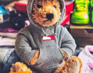 Ours en peluche doux à collectionner, animaux en peluche, compagnon de jeu, poupée apaisante, jouets pour enfants