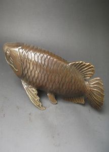 Collection Lifelike Chinese Old Bronze Arowana -standbeeld 28x8 CM5369352