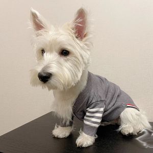 Vêtements de style collégial vêtements de créateur de créateurs de chiens doux chiens chauds Pulllaon classique animal de compagnie vêtements de vêtements de mode d'hiver cardigan chasqueurs tricot gris xxl a389