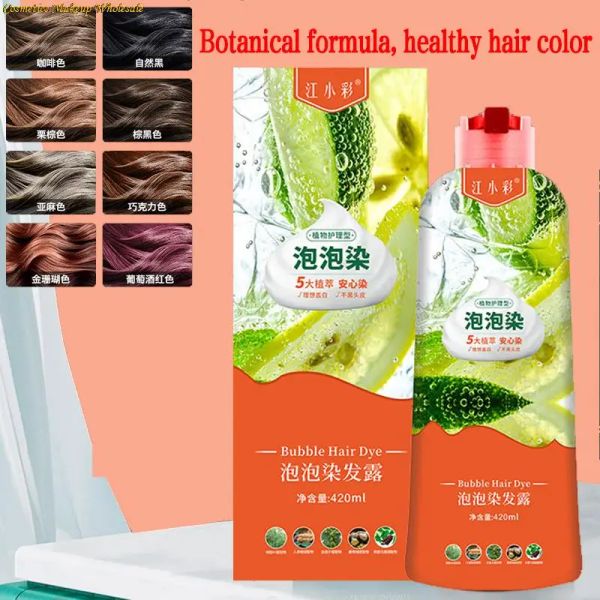 Color Botanical Bubble Hair Dye Shampooing Doux One Black One Wash Color Couleur populaire Crème de teinture pour cheveux sains couvrant les cheveux blancs