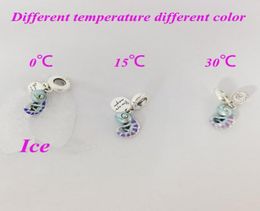 Chamancage de couleurs Chameleon Chamed Charm 925 Sterling Silver Jewelry ENAMEL MENTES FEMMES POUR LA JOUR DE NORICE CHARMES CHARMES Perles Bracelets 791676C01 Andy Jewel9787995