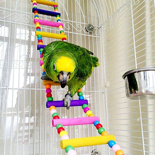 Escalera de pájaros de colores, columpios para loros, juguetes para pájaros, accesorios de jaula para cacatúa, periquito, guacamayo pequeño de 80cm