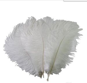 Plumes d'autruche colorées de 10 à 12 pouces (25 à 30 cm) pour la pièce maîtresse de mariage décor d'événement de fête de mariage décoration festive GB834