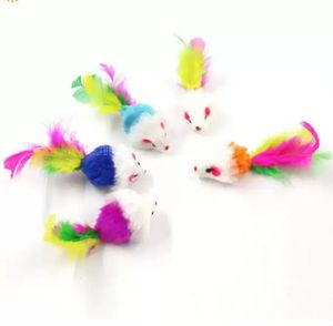 Plume colorée Grit petite souris chat jouets pour chat plume drôle jouant chien chat petits animaux plume chaton FY4654 919