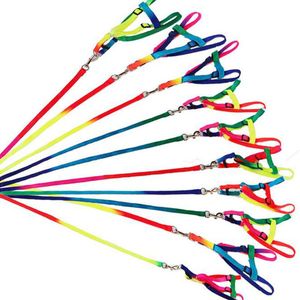 Colliers de chien arc-en-ciel colorés, harnais, laisse de marche souple, corde de Traction Durable en Nylon 120cm RH3453