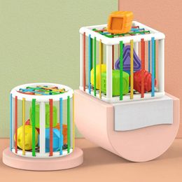 Kleurrijk gevormd blokclassificatiespel Baby Montessori Toy Learning Childrens Education Game 6-12 maanden geneste gestapeld speelgoed 240517