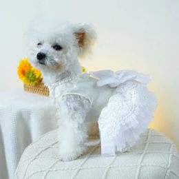 Cómodo vestido para perros para ocasiones especiales de encaje elegante boda de mascotas pequeños perros medianos princesa princesa con arco de perla 240412