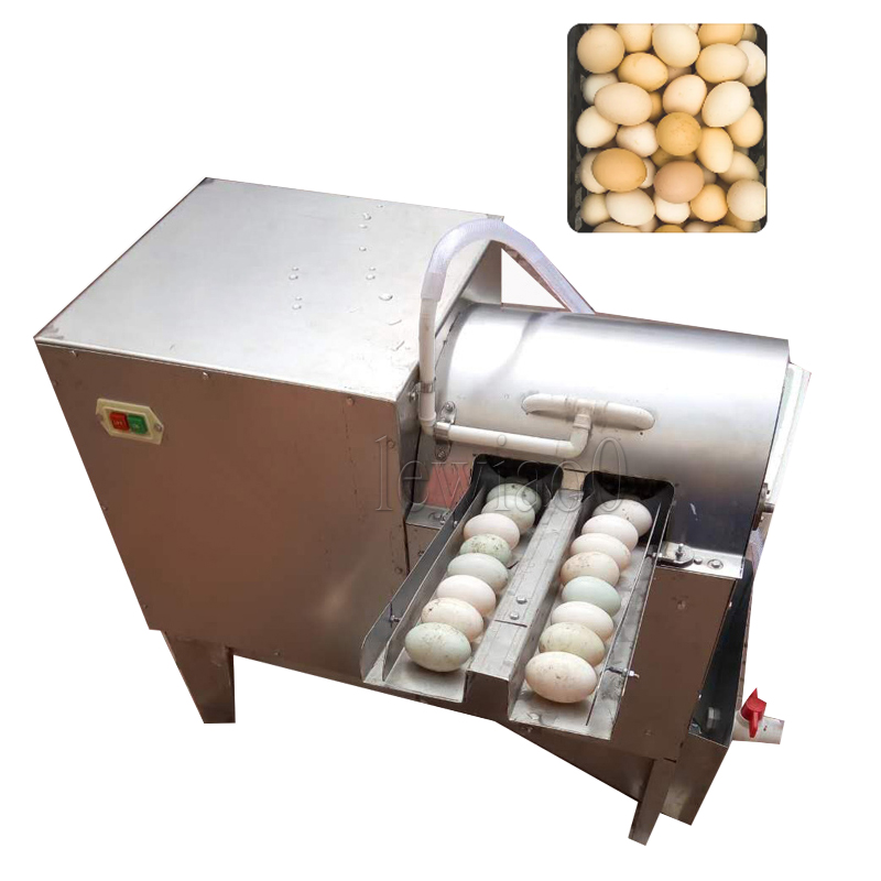 Commercial Egg Cleaner Double Row Egg Cleaning Machine