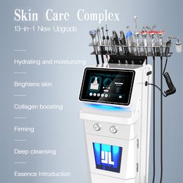 Machine complète de beauté de la peau Hidrafacial 14 en 1 peau lisse RF épurateur de levage du visage peau morte enlever le dispositif d'utilisation de massage de reconstitution d'eau de pulvérisation Nano