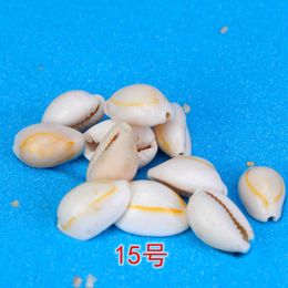 XBJ045 Conch Shells Starfish Coral Reefs Kleine Gele Rijst Snail Shell Zeegezicht Natuurlijke Micro Landschap Ornamenten