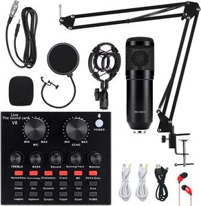 Ensemble de microphones à condensateur Kit de micro ALPOWL BM-800 avec carte son en direct Suspension de micro réglable Bras de ciseaux Support antichoc en métal