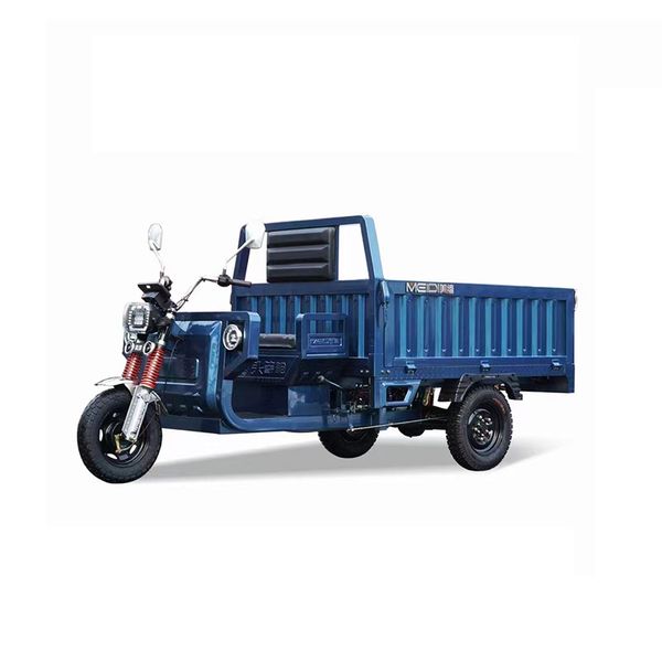 Prix de conseil en gros de cargaison électrique à trois roues petits camions agriculturaux Express Transport Battery