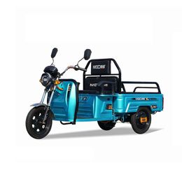 Prix de conseil en gros transport cargo électrique tricycle de chargement camion de cargais