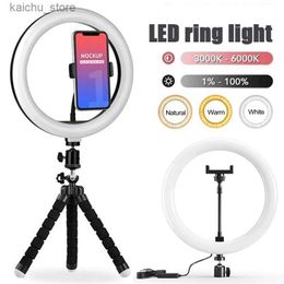 Continu Lighting 10 inch LED Selfie Ring Light USB Dimable Photography Light Studio Mobiele afstandsbediening Fill Light YouTube Tiktok Video Live Broadcast Y24041